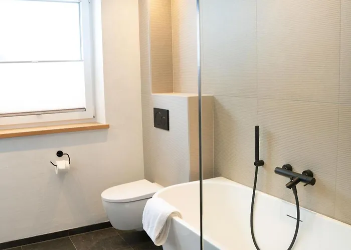 - Enzian בית הארחה